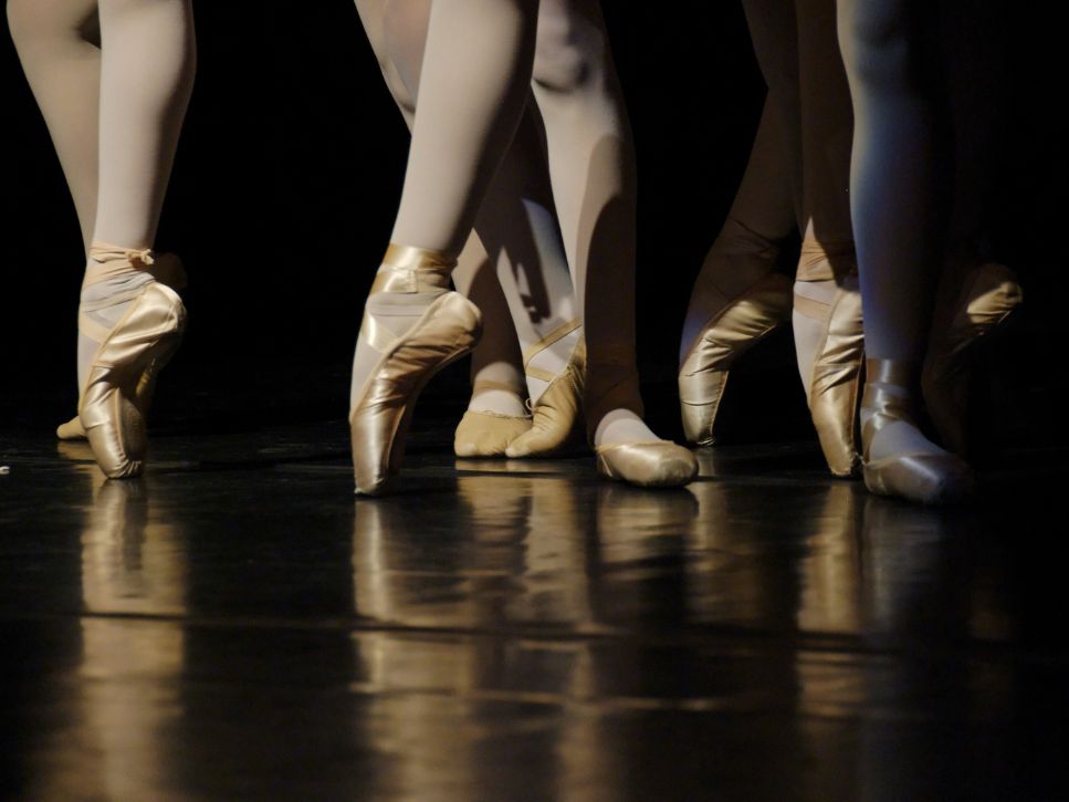 Ballet 101: The Complete Beginner&rsquo;s Guide to Self-Learning