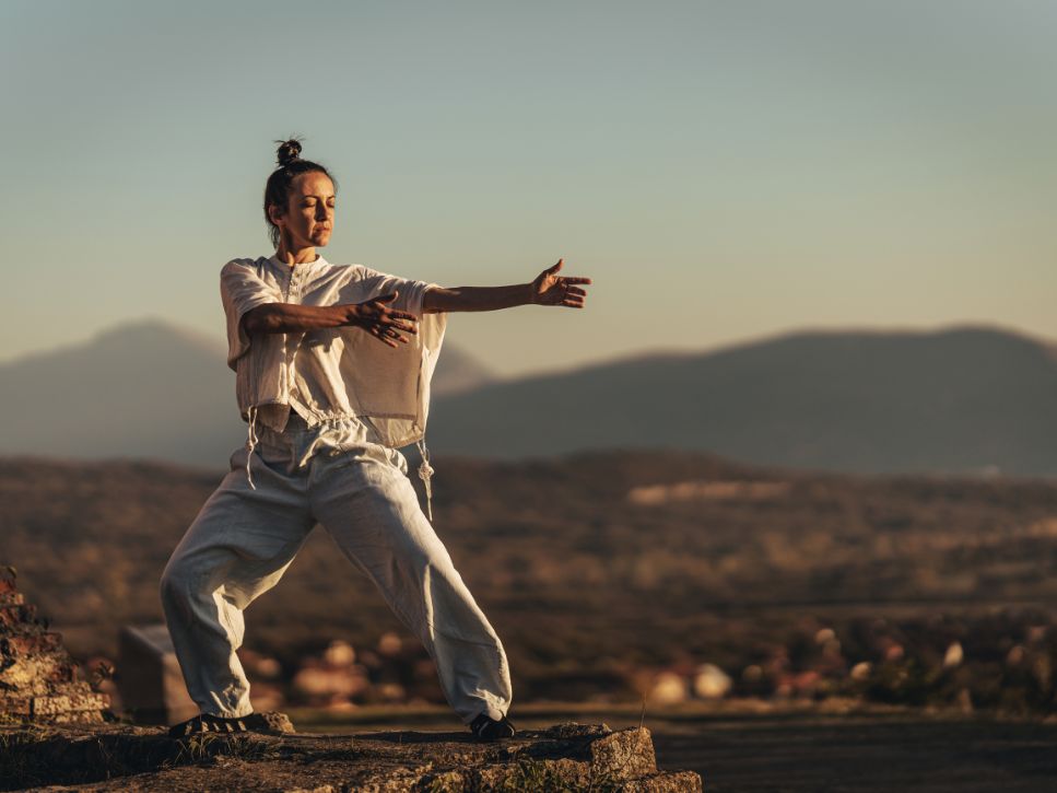 Tai Chi Self-Taught: Exploring the Path of Mastery